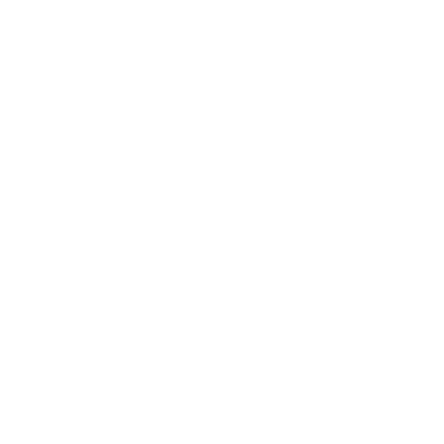 logo-2